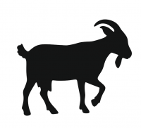 Козы и Овцы (символ года 2027)